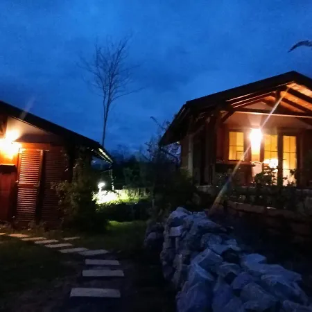 Nikolija 3