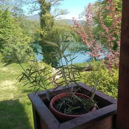 Nikolija 3 *